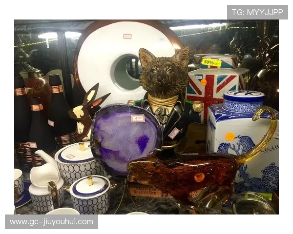 猫箱足球掀起宠物运动新潮流猫咪化身绿茵球星萌力全开